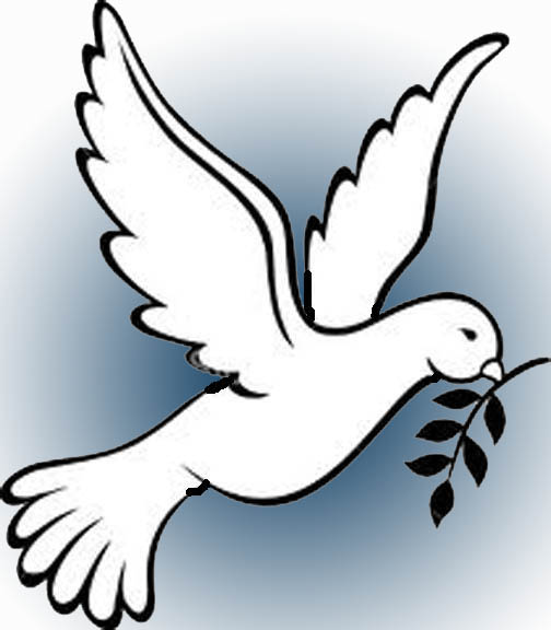 Hdbingham | Writing For Peace